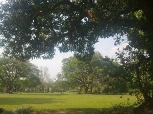 Article : Une adresse à Buja: le jardin public